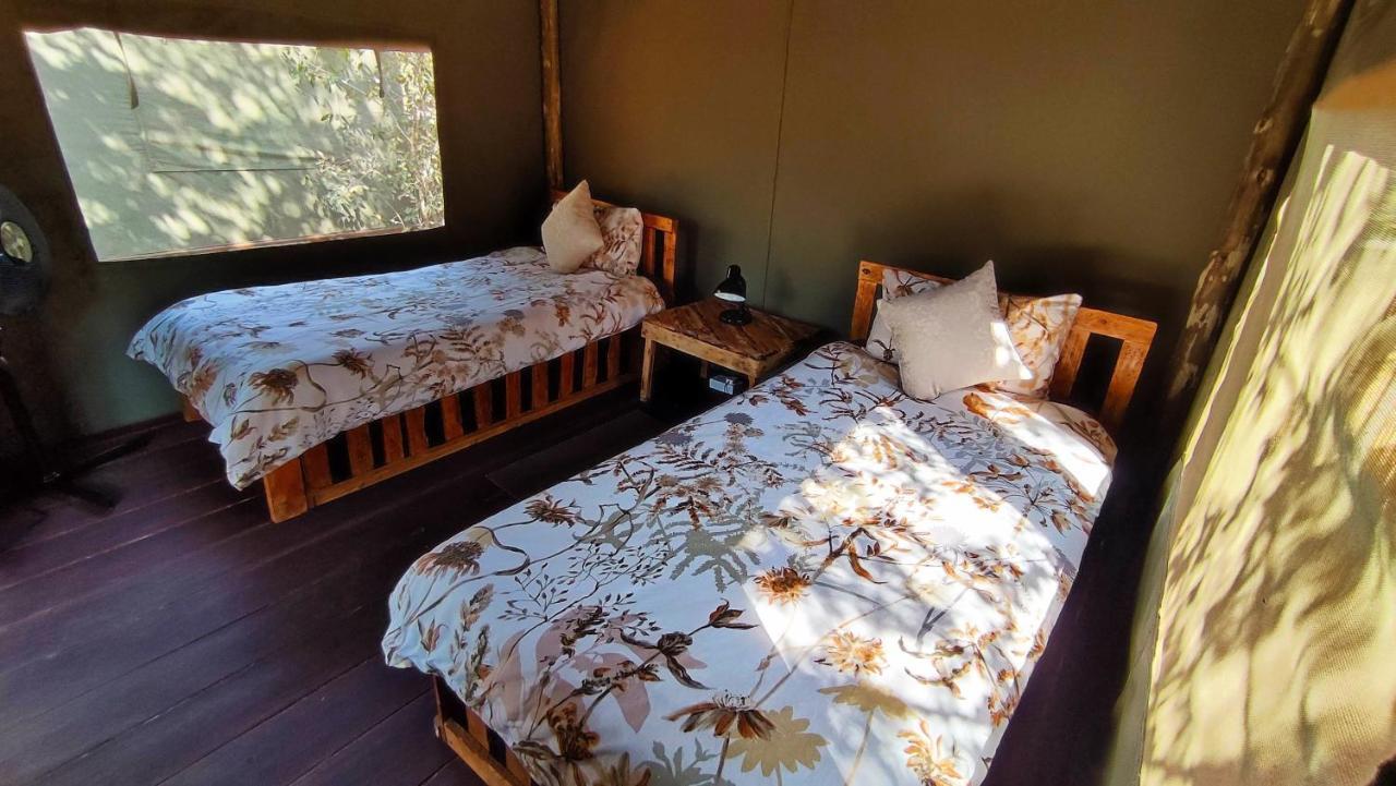 Elephant Trail Guesthouse And Backpackers Kasane Zewnętrze zdjęcie