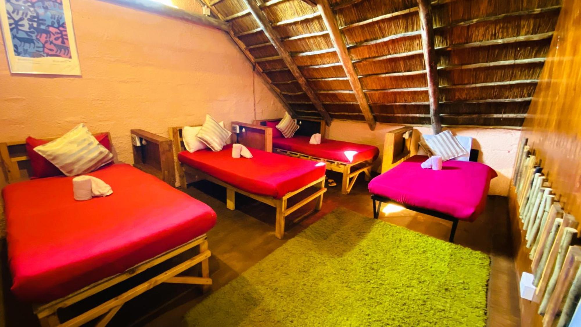 Elephant Trail Guesthouse And Backpackers Kasane Pokój zdjęcie