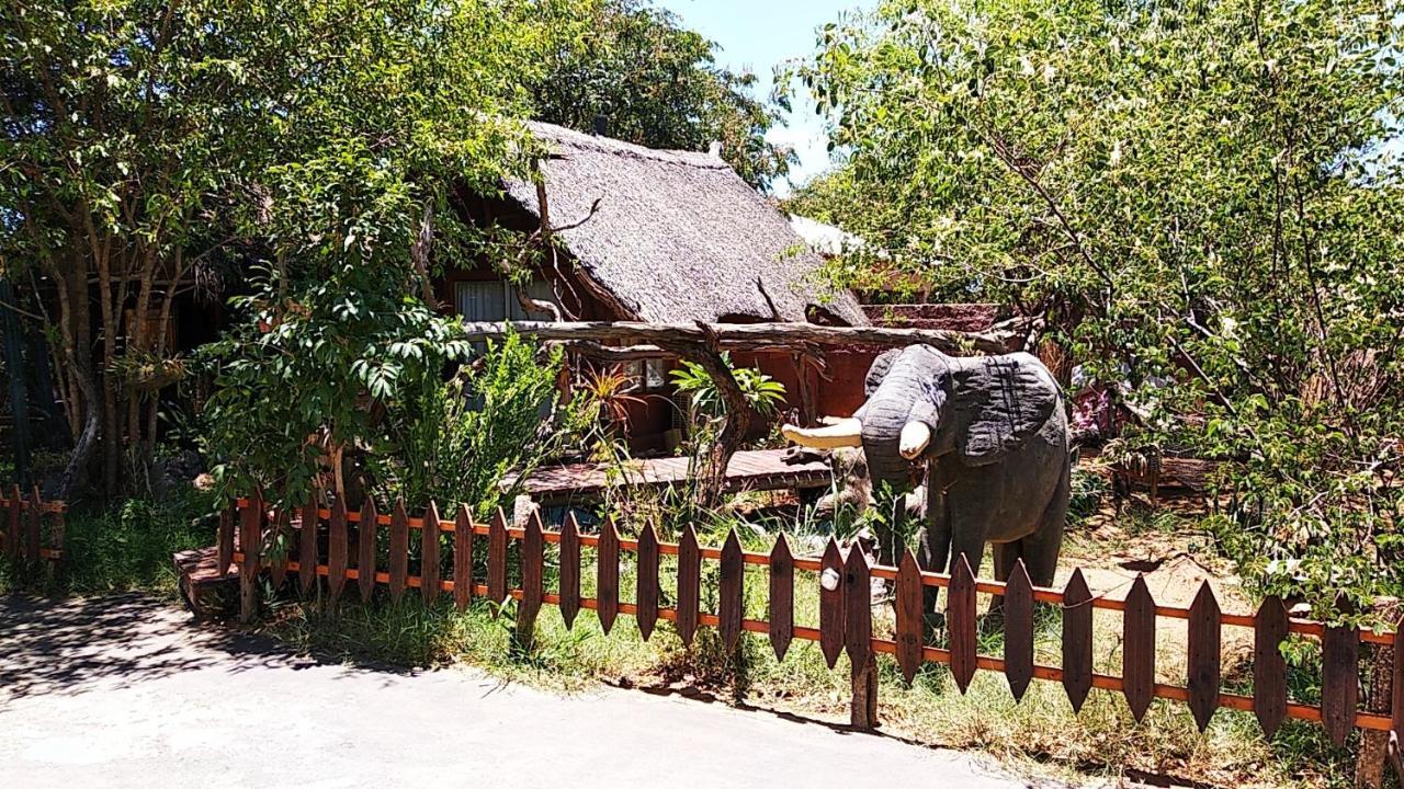 Elephant Trail Guesthouse And Backpackers Kasane Zewnętrze zdjęcie